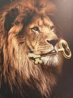 a lion with a key in it's mouth