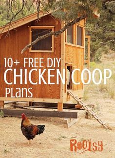 a chicken coop with the words 10 + free diy chicken coop plans