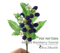 French Beaded Blackberry Branches, PDF tutorial. This e-book will teach you step by step on how to make realistic Blackberry from seed beads and wire. You will receive 34 pages (plus about 20 patterns and 65 photos) e-book in PDF file with detailed descriptions. Difficulty Level: Intermediate In this tutorial, you will find instructions on how to tie a Blackberry branch with ripe and unripe berries, flowers and leaves. It can be used as a separate handicraft as well as can be added into differen Seed Bead Crafts Diy, Beaded Flower Tutorial, French Beading, Beaded Bouquet, Beaded Flowers Patterns, Diy Beading, Seed Bead Crafts, Seed Bead Flowers, French Beaded Flowers