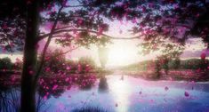 the sun is setting over a lake with pink flowers