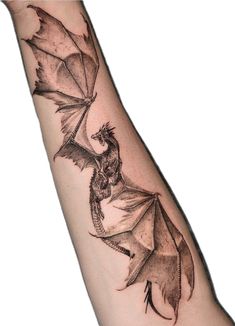 a black and white photo of a bat on the arm