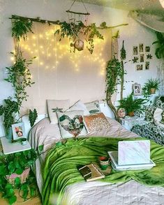 a bed with lots of plants and pictures on the wall