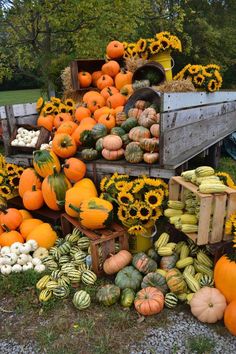 a pile of pumpkins and gourds sitting on the ground in front of a truck