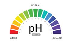 the ph scale is shown with different colors