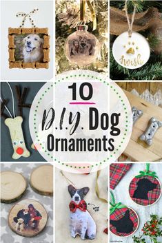 the top ten diy dog ornaments