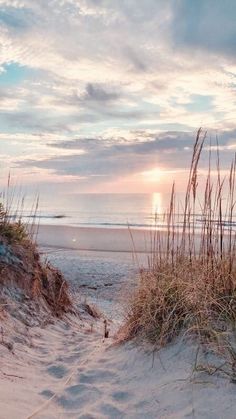 the sun is setting at the beach with tall grass in the foreground and sand dunes to the right