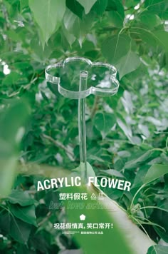 an advertisement for acrylic flower in the middle of green leaves and branches with words above it