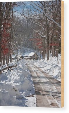 a snow covered road surrounded by trees and bushes