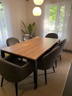 a dining room table with chairs and a plant in the corner next to it on top of a rug