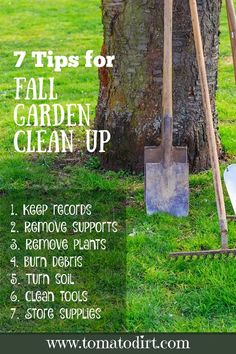 gardening tips for fall garden clean up with shovels, rake and tree sapling