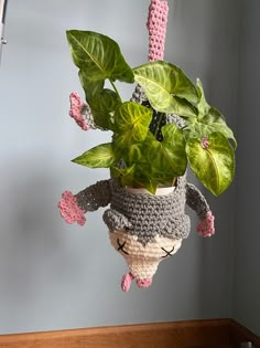 a crocheted plant hanging from a hook on a wall next to a potted plant