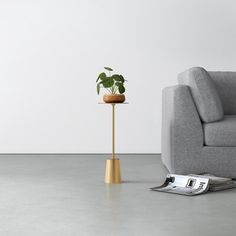 a grey couch sitting next to a plant in a pot on top of a wooden stand