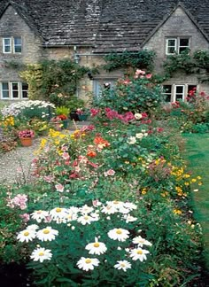 a garden with lots of flowers in front of a house