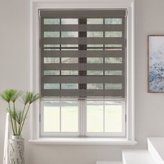 a bathroom window with blinds in it and a potted plant