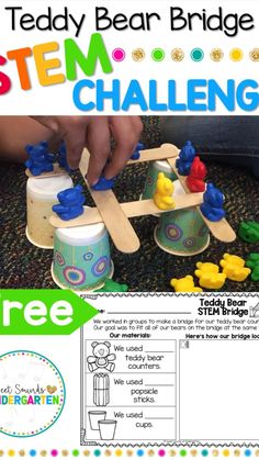 Bridge Stem Challenge, Stem Bridges