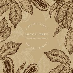 cocoa tree with leaves and flowers on a brown background stock photo - 1387982