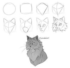 some drawings of cats and their faces in different positions, including the cat's head