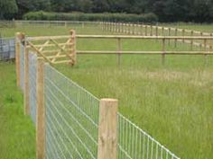 a fenced in area with sheep grazing on the grass and behind it is an open field