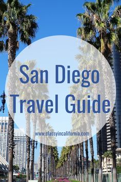 palm trees and the words san diego travel guide