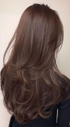 Brown Layer Hair, Layers And Color Hair, Brown Hair Colors And Styles, Brown Hair Colors Layers, Curtain Band Layered Hair, Brazilian Brown Hair Color, Layers On Thinner Long Hair, Warmer Brown Hair, Cute Layers Haircuts