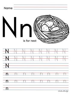 the letter n is for nest worksheet with an uppercase and lowercase