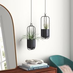 three hanging planters with air plants in them on a dresser next to a mirror