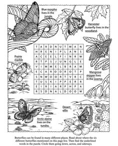 the butterfly word search is shown in black and white, with an image of butterflies on it