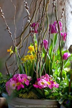 a potted plant with purple and yellow flowers