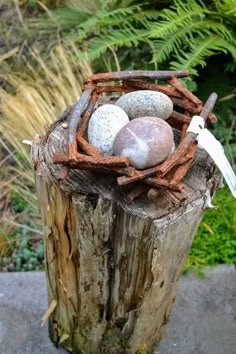 a bird's nest made out of branches and rocks on top of a tree stump