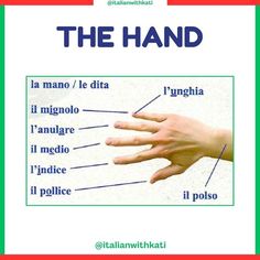 the hand is labeled in different languages and features words that are also english or spanish