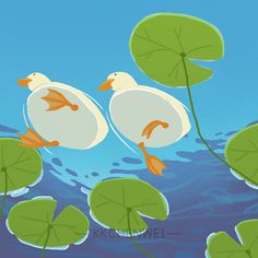 two ducks floating in the water with lily pads on their feet and one duck has its wings spread out