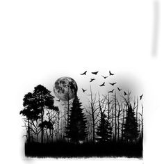 black and white photograph of trees with birds flying in the sky over them at night