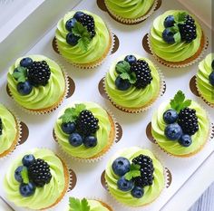 cupcakes with green frosting and blueberries are arranged in a white box