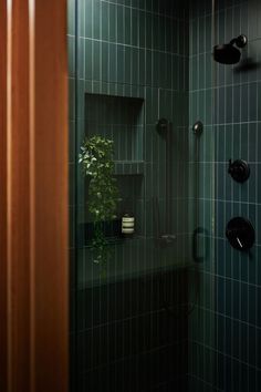 a green tiled bathroom with black fixtures and plants in the shower stall, along with dark wood trim