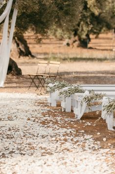 the benches are covered with white ribbons and flowers in front of an olive tree filled field