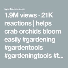 the text reads, 19m views 21k reactions helps crab orchids bloom easily gardening garden tools gardeningtools