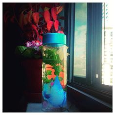 a glass jar filled with water and plants sitting next to a window sill in front of a potted plant