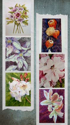 four different pictures of flowers on a piece of paper with the same color and size