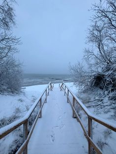 a snowy path leading to the beach with trees on either side and water in the distance