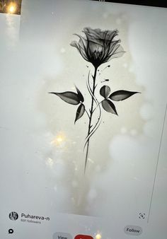 a black and white drawing of a flower on a sheet of paper with the words puharev - r below it