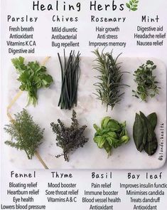 Magical Herbs, Green Witch