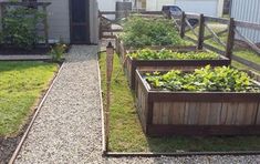 three wooden planters filled with green plants next to a building and grass covered yard