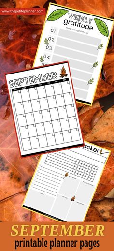 the printable calendar is on top of leaves with text that reads, october and november