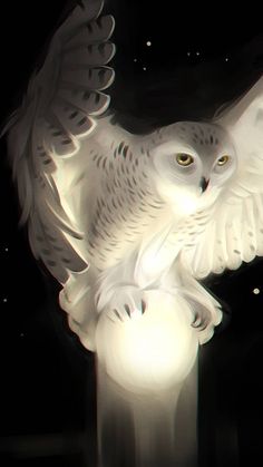 an owl flying with its wings spread and glowing in the night sky above it is a light bulb