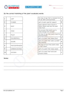 printable worksheet showing the correct words for plants in english and chinese language