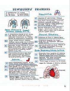 the anatomy of the human body and its functions in each part of the body, including organs