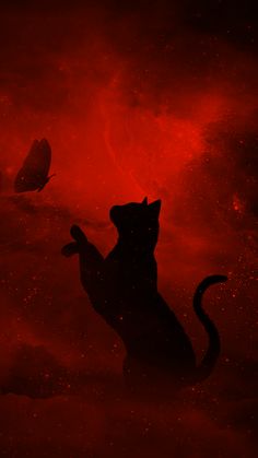 a black cat standing on its hind legs in front of a red sky with two birds