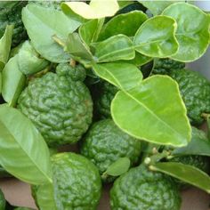 a bunch of green fruit with leaves on it's stems and in the background is a box full of them