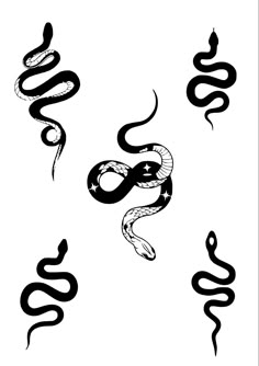 snake tattoo designs in black and white with stars on the tail, two snakes are facing each other