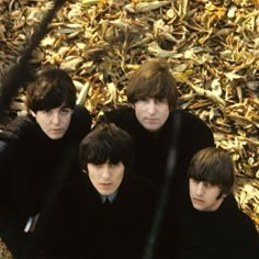 the beatles are sitting in front of a pile of leaves and looking at the camera